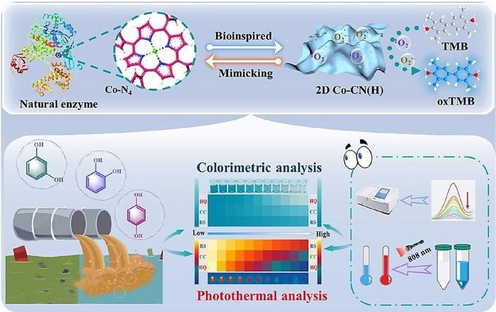 Advanced Cobalt Nanozyme Platform for Simultaneous Colorimetric and Photothermal Sensing