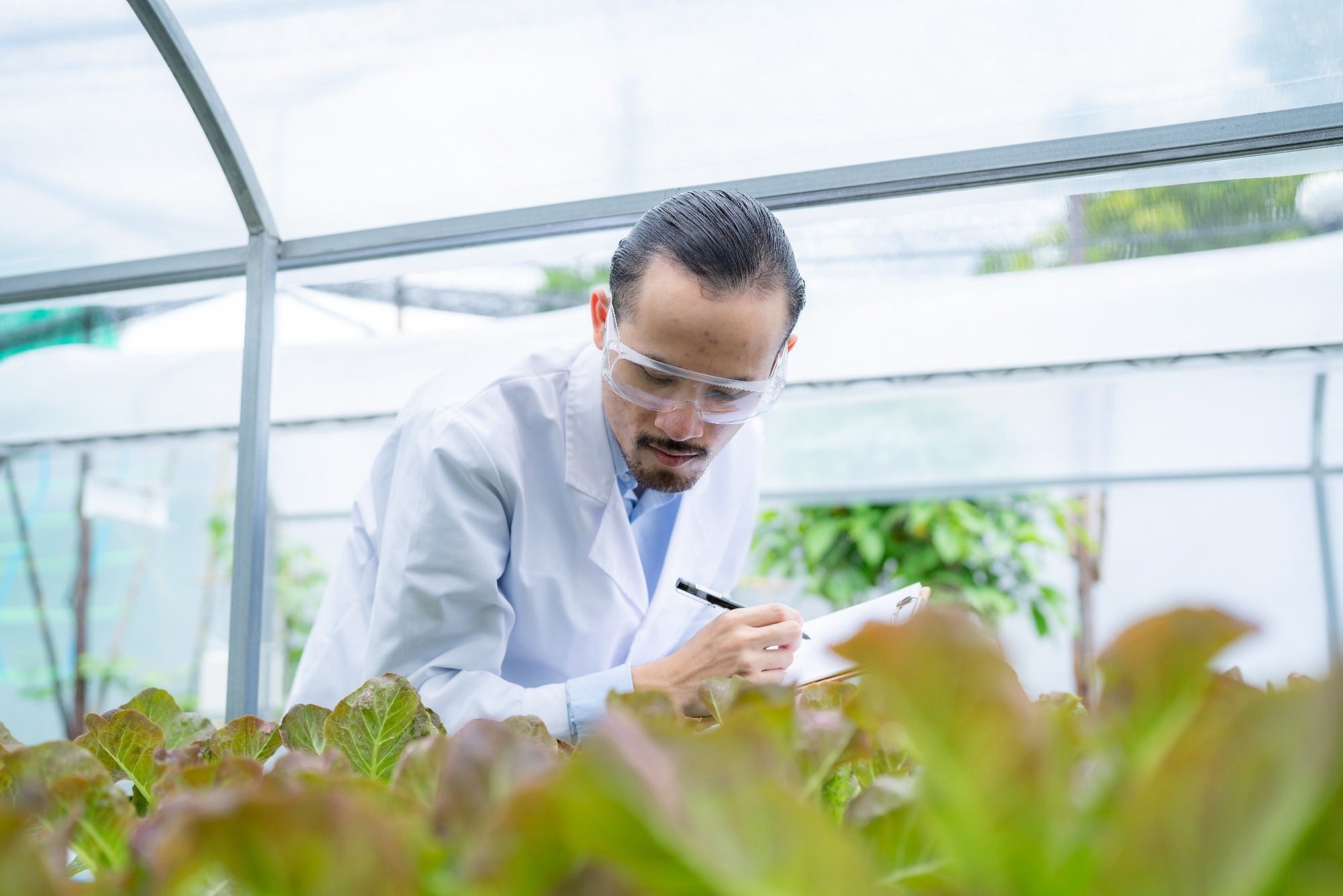 A male scientist wearing goggles and a white lab coat examines plants, making notes with a pen.