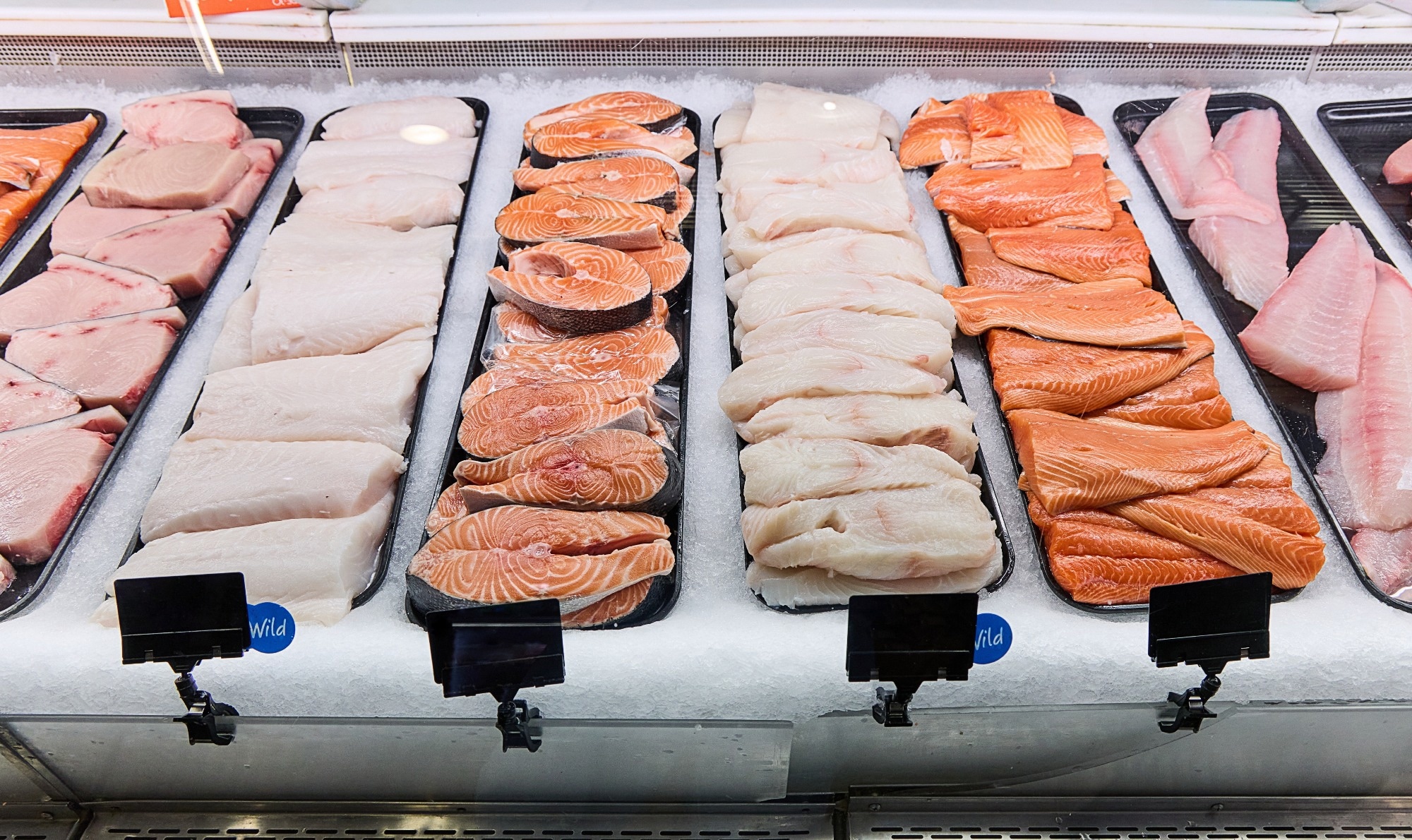 A fresh seafood stand at a market, with salmon, cod and mackerel.