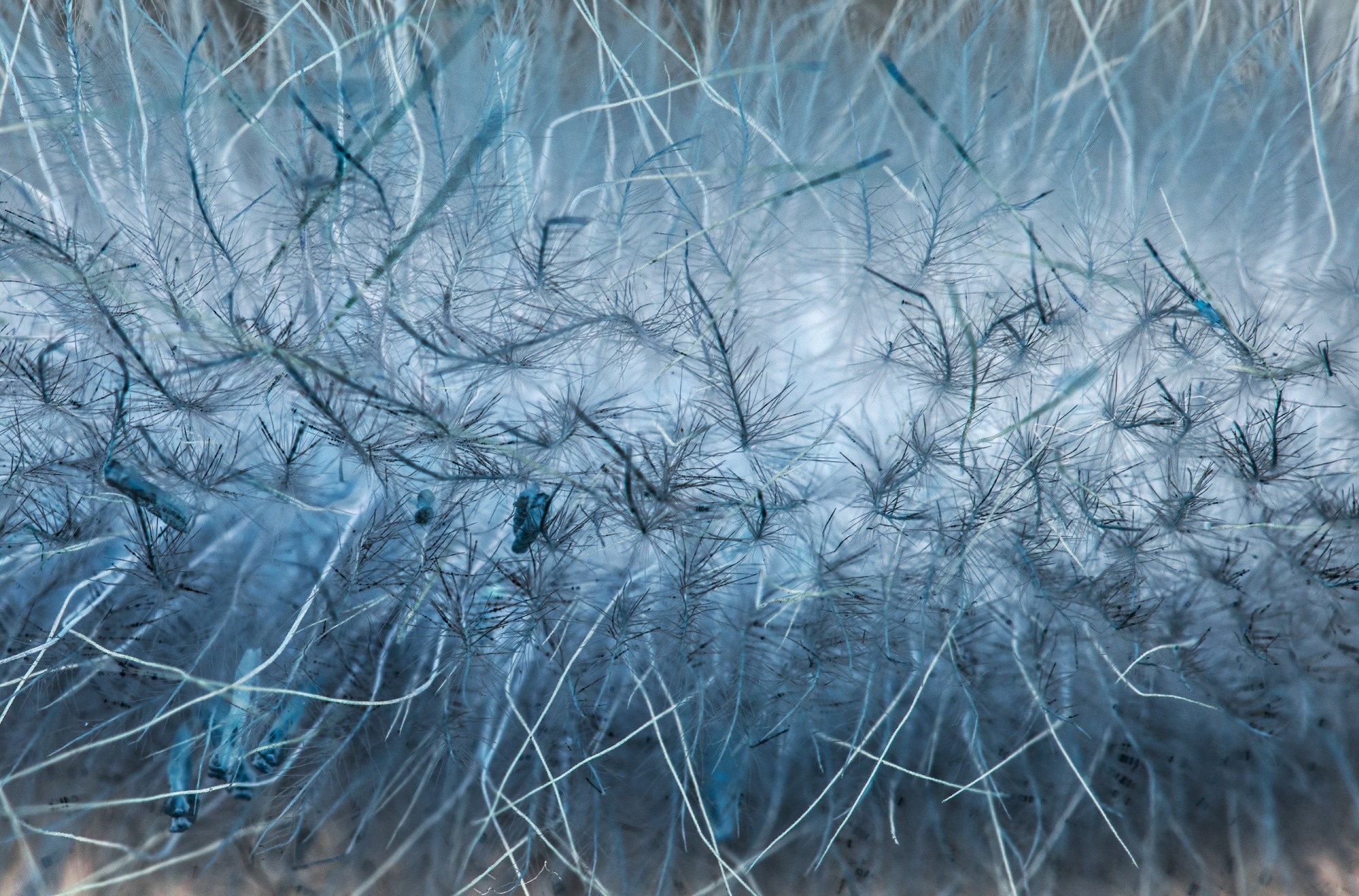 Abstract nanofibers structure with big magnification concept artistic rendition.