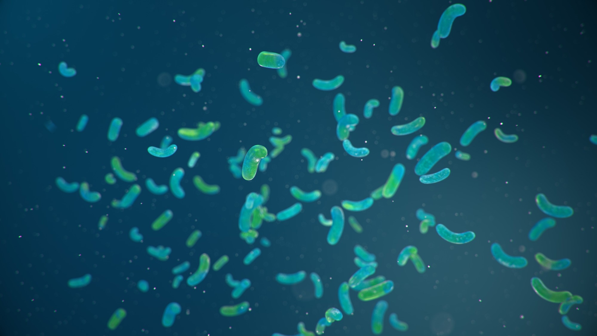 Render of bacteria in the intestine, looks similar to E. coli