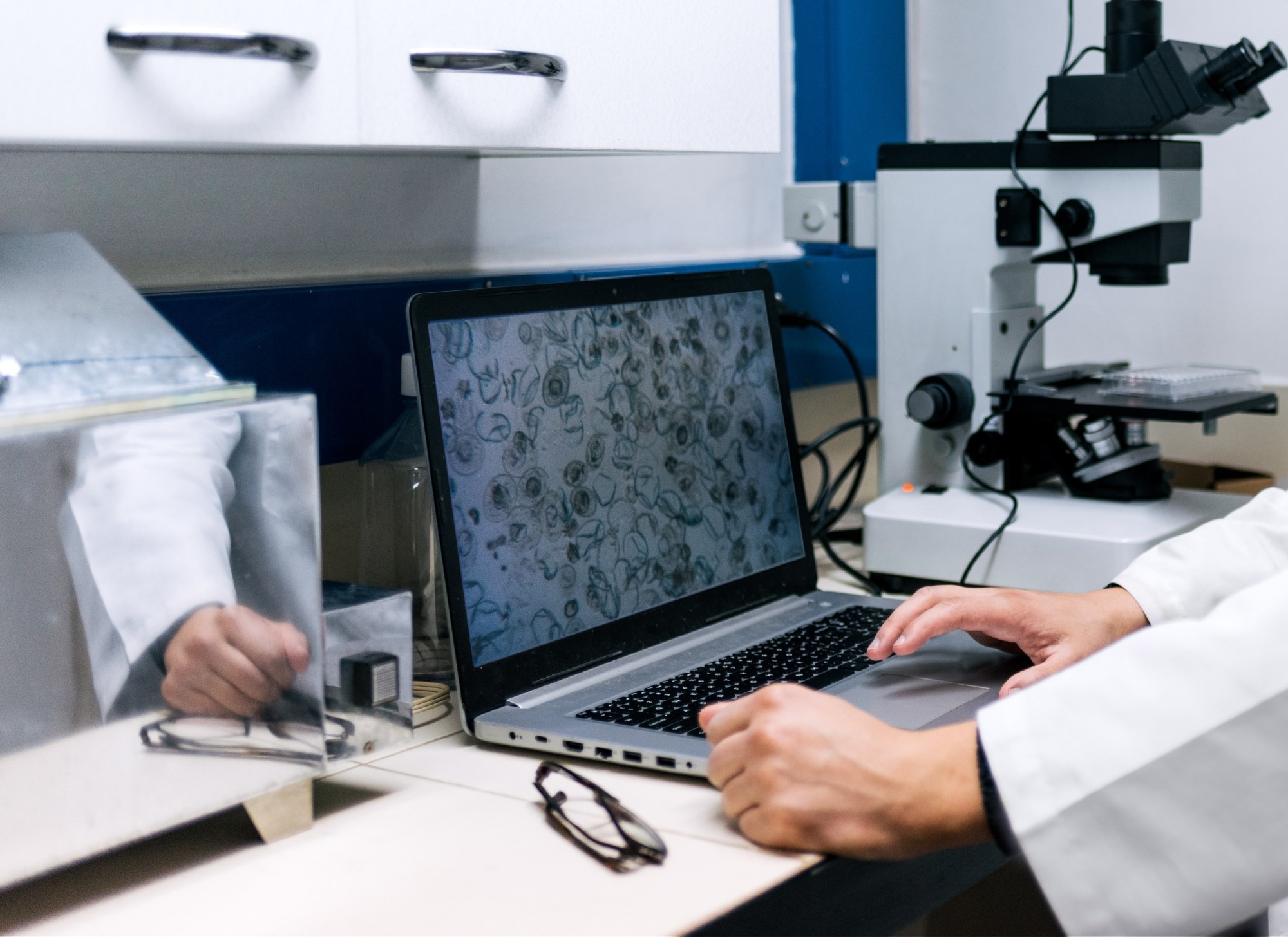 Review: Adaptive Microscopy Could Make Biological Imaging More Precise