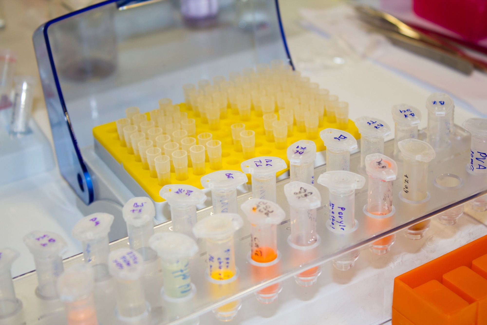 CalLuc-2.1: A Luminescent Biosensor For GPCR Calcium Signalling