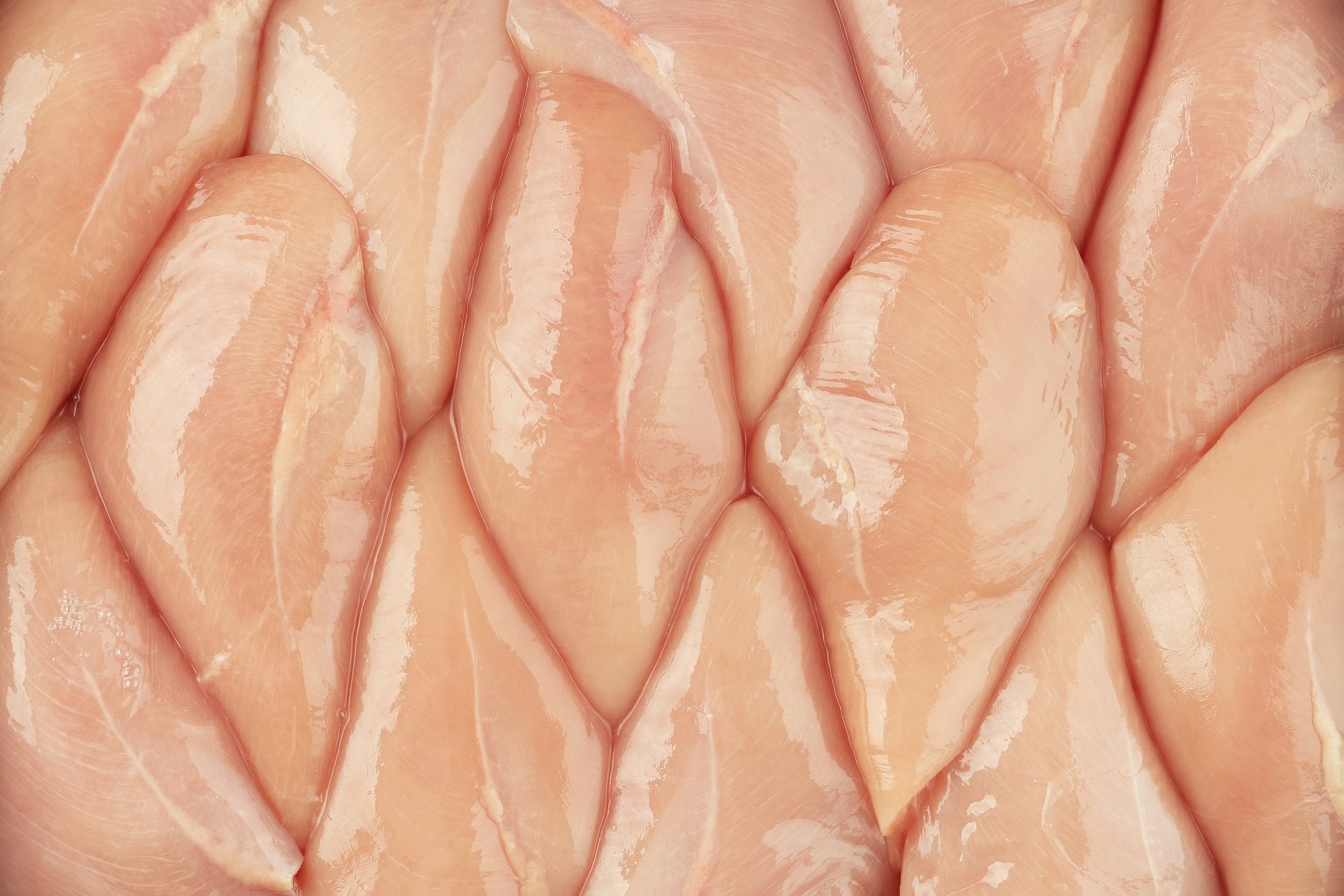 Research: ROL-Net: A Robust Object Localization Network with Rep-Optimization for Precision Sensing of Chicken Freshness. Image Credit: Nataliia Maksymenko / Shutterstock