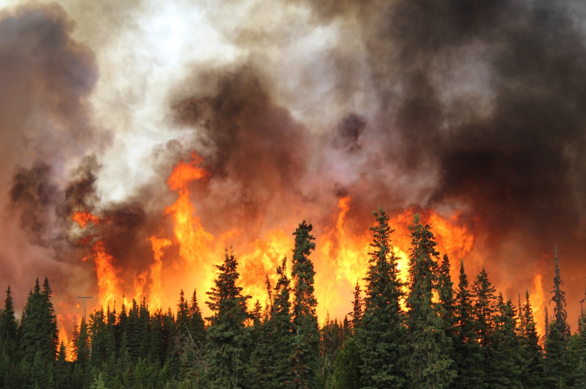 NASA FireSense Project Develops Real-Time Heat Monitoring System for Fire Dozers
