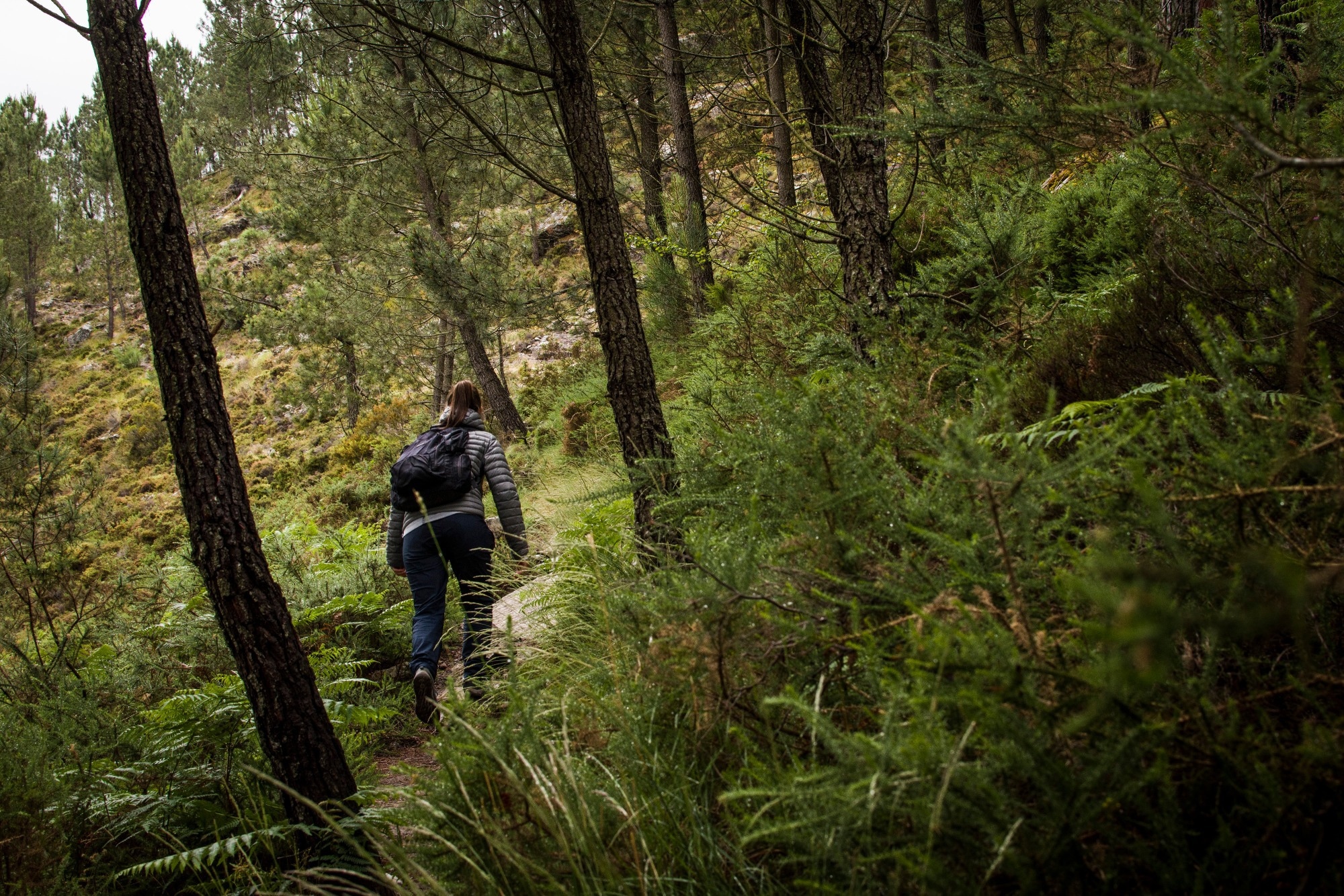 Multimodal In-Ear Sensors Estimate Energy Expenditure During Outdoor Activity
