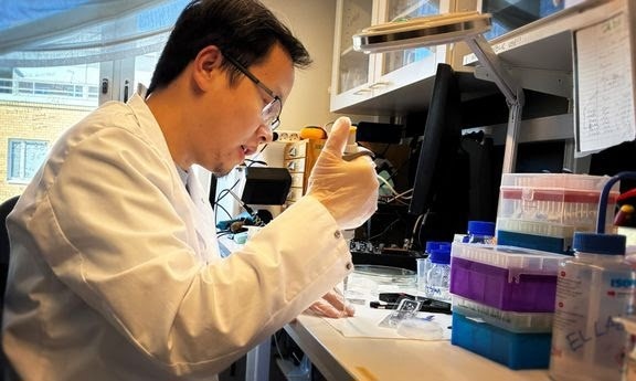 'Like Uprooting Tree Stumps' – A Simpler Method to Manufacture Biosensors