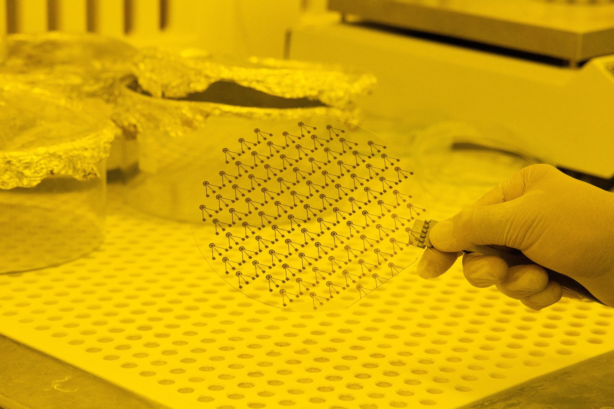 Biosensors for Rapid Prevention of Contamination in Food and Water