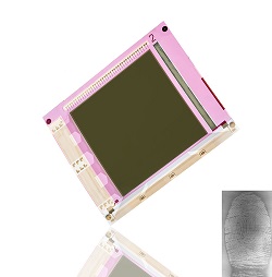 Flexenable and Isorg Reveal First Large Area Fingerprint and Vein Sensor on Plastic