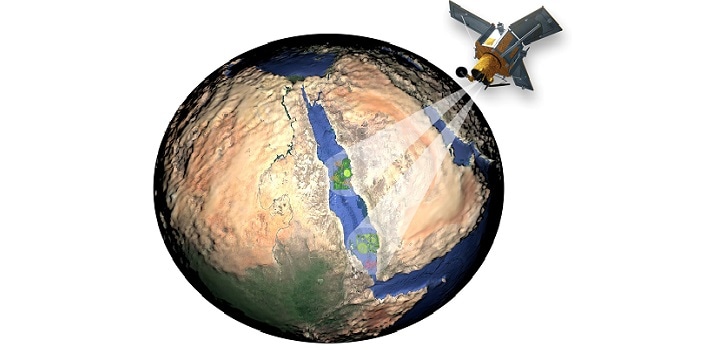 New Remote Sensing Method Could Help Detect Harmful Algal Blooms in the Red Sea