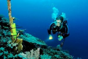 Robotic Sensors to Monitor Marine Ecosystems