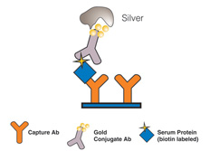APiX Chromogenic Technology for Detection of Protein Microarrays