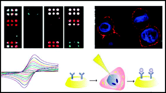 Evaluation of Nanoparticle-Based Sensors Used in Cancer Detection