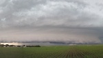 NASA's TES Satellite Instrument Helps Clarify What Happens to Precipitation That Falls on Land