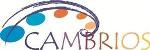 Sigmascreening Mammogram Product Features ClearOhm Silver Nanowire-Based Flexible Sensor