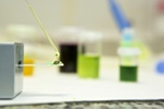 Alicante Researchers Develop Biosensors to Detect Neurotransmitters and Metabolites