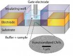 Researchers Develop New Sensor that Can Detect Estrogen Levels in Fluids