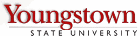 YSU to Device High-Tech Sensor System