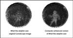 Cymatic-Holographic Imaging Technique Creates ‘What-the-Dolphin-Saw’ Image of Submerged Man