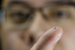 Radio Waves Power Tiny Wireless Temperature Sensor