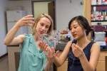 NSF Awards UW $16M Funding for Research on Implantable Devices to Restore Motor Function