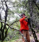Autonomous Acoustic Sensors Could be Effective for Monitoring Marbled Murrelet Nesting Sites