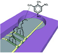 New Sensor Based on Nanowires for Detecting Explosives