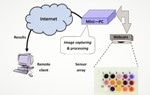 Prototype Sensor System Allows Remote Detection and Estimation of Dangerous Gas Levels