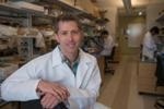 Rice University Bioengineer Receives NSF CAREER Award for Research on Bacterial Sensors