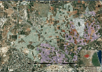 UPV Scientists Utilize Remote Sensing Techniques to Manage Plant Stress Levels