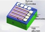 Scientists Build Tiny Electronic Sensors that Can be Implanted in Human Body