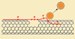 CSD Technique Regenerates SWNT Sensors by Electric Impulses