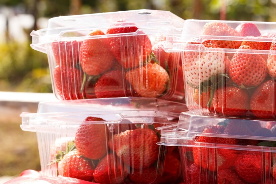 Intelligent Packaging Using Advanced Sensors to Detect Foods Spoilage
