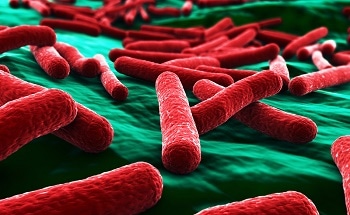 Researchers Develop New Biosensor That Could Be Used To Detect E.Coli