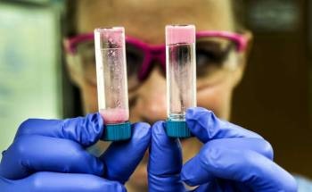 New Gel-Based Sensor Could Aid More Accurate Lead Paint Test