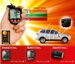 Lemur Vehicle Monitors Launches Sensor Tool to Monitor Teen Drivers