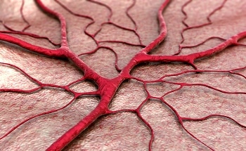 PIEZO1 Sensor Implanted in Blood Vessel for Treating High Blood Pressure