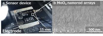 Researchers Develop Nanostructured Gas Sensor Devices for Detecting VOC in Breath