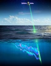 Phytoplankton Cycles Viewed Through Space-Based Sensor