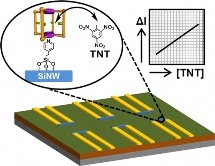 Nanosensor Could Determine Presence and Quantity of Explosives