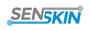 SENSKIN to Design Prototype of Skin-Like Sensors to Monitor Transport Infrastructure