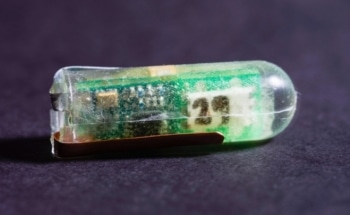 Researchers Build Tiny Ingestible Voltaic Cell Powered by Stomach Acid