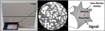 New Biosensors Could Effectively Detect Pharmaceutical Products in Water