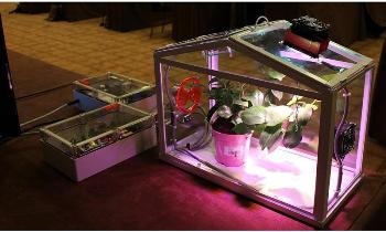Pressures on Food Production Make Agriculture a Prime Candidate for Harnessing the Potential of IoT