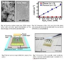 Researchers Develop Convenient, Accurate Sweat-Based Glucose Monitoring and Maintenance Device