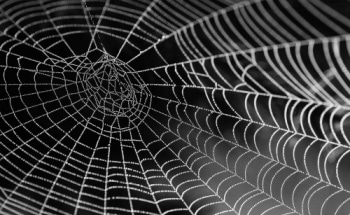 Researchers Develop New Sensor Technology to Measure Vibrations and Flow