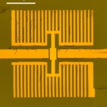 Graphene-Based Infrared Sensor Could be Used as Pixels in High-Resolution Thermal Imaging Camera