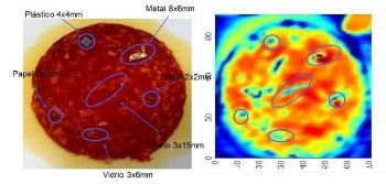 Researchers Produce Sensors that Help Identify Foreign Bodies in Food Products