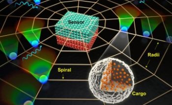 DGIST Researchers Develop New Biosensor Using Magnetophoretic Spider Web