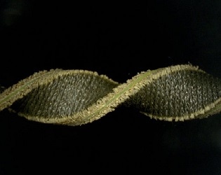 Hybrid Silicone-Fabric Sensor Takes Researchers One Step Closer to Creating Soft, Wearable Robots